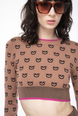 Pinko Cropped Logo Jacquard Sweater CAMEL/BLACK | SN-PKO33529