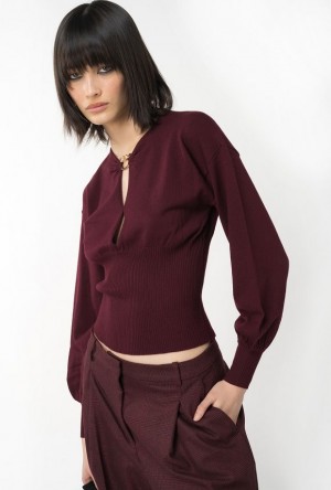 Pinko Wool Sweater With Love Birds Buckle BURGUNDY-PORT ROYALE | SN-PKO33472