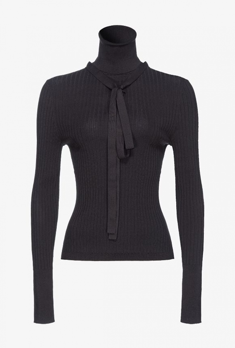 Pinko Pinko Reimagine Silk-blend Turtleneck Sweater By Patrick Mcdowell LIMO BLACK | SN-PKO33405